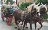 Der alte Spritzenwagen